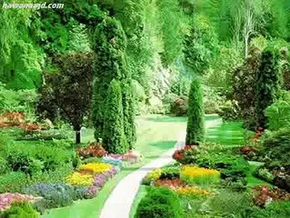 دعاء جميل للشيخ ماهر المعيقلي