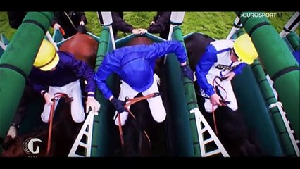 Horse Excellence : Horse Racing