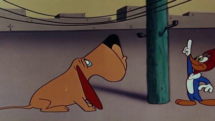 PICA PAU FAREJADOR VERSO  PICA PAU