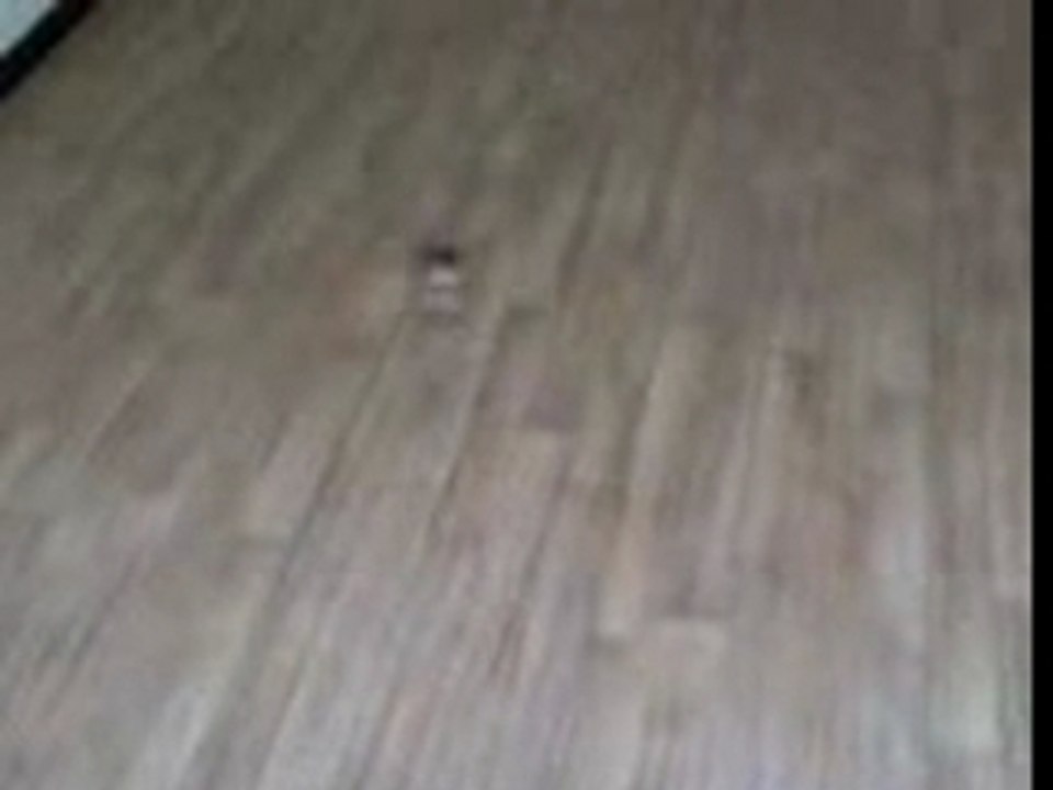 Picoo'z piloter grace à une PSP !!!