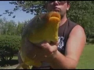 Superbe week end chez mamy