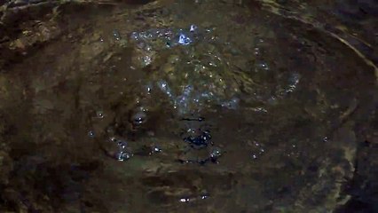 Water - Ultra High Definition Video HD