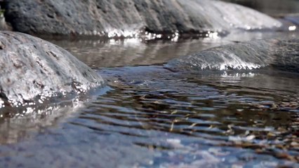 Water - Ultra High Definition Video HD 2