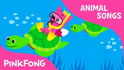 Under the Sea | Animal Songs | PINKFONG Songs for Children
