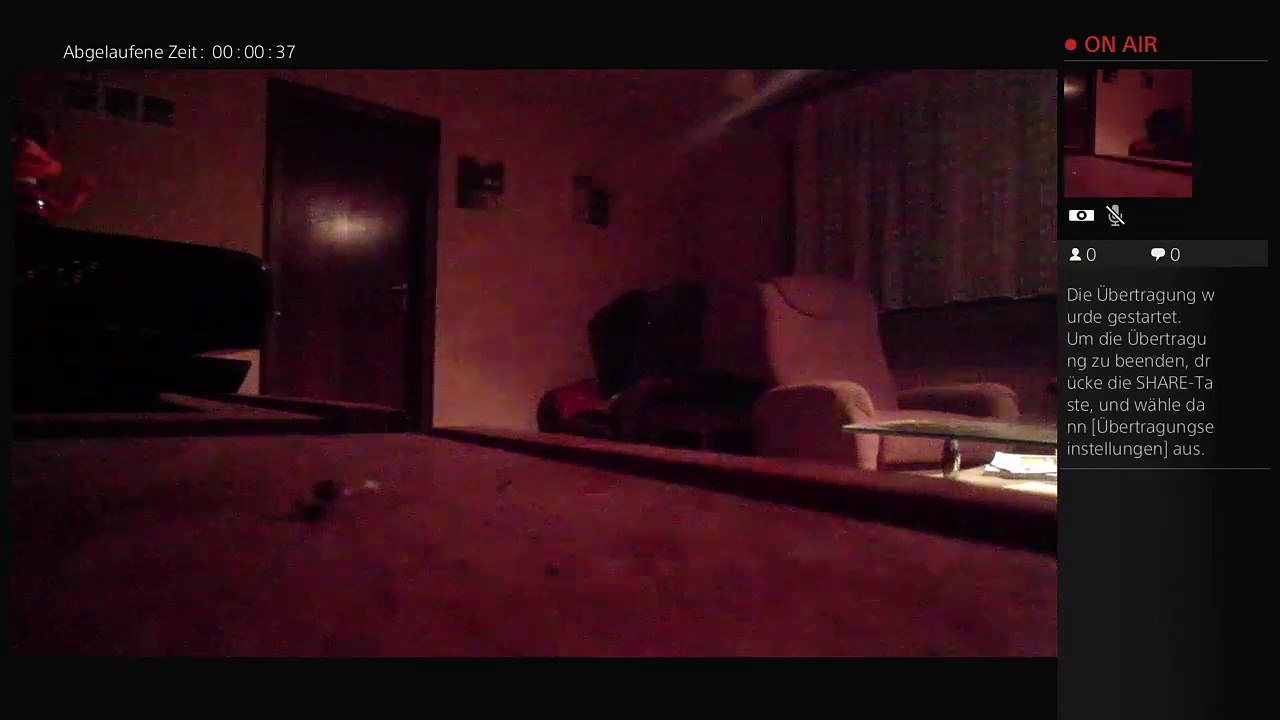 PS4-Live-Übertragung von Hainchtowncity36 (11)