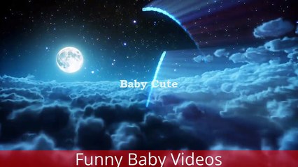 Funny Baby Videos That Make You Laugh so Hard You Cry Part 2