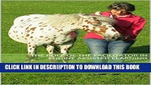 [PDF] The Role of the Facilitator in Equine Assisted Learning: Working with horses and people in