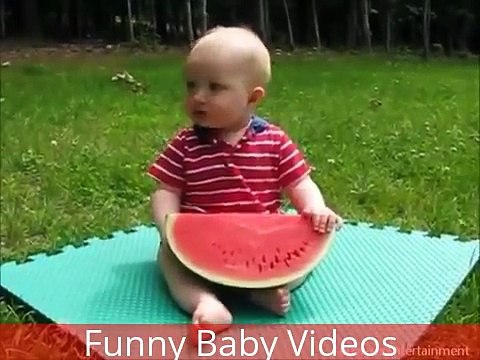 Funny Videos That Will Make You Laugh so hard you cry compilation
