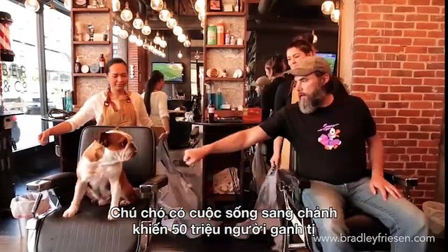 Chú chó có cuộc sống sang chảnh khiến 50 triệu người ganh tị