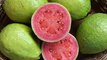 Amrud ke Fayde by Health Routine Benefits of Guava