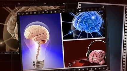 Protein A Required Nutrient To Boost Brain Power