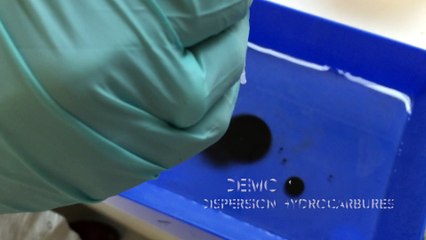 VegeMAX 4D : dégraissant, dispersant, détachant et désodorisant à base d'huile végétale de ricin - contact alimentaire