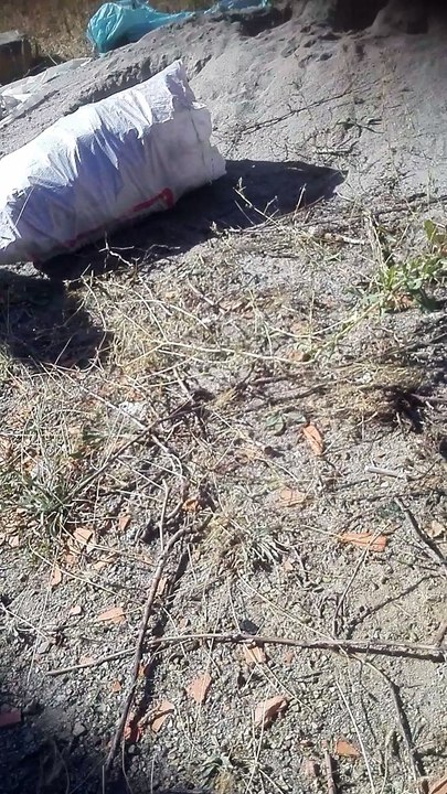 VID_20150916_101235