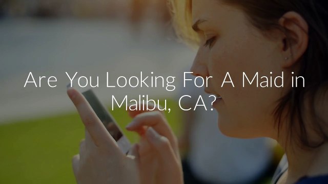 Fairy Maid Domestic Agency | Malibu Maid Service
