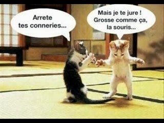 Les Délires Animals