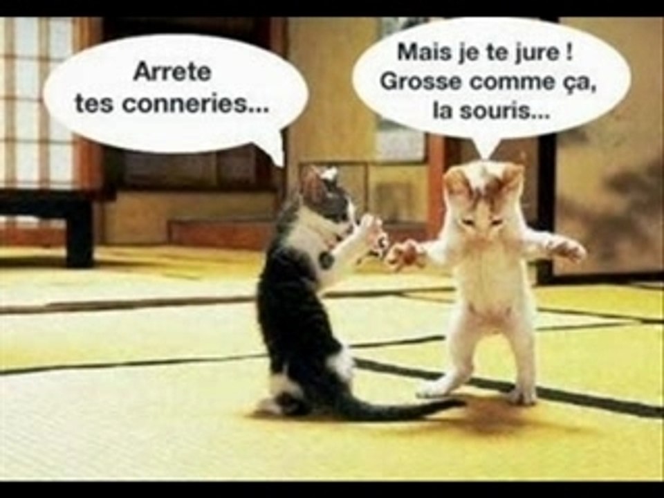 Les Délires Animals