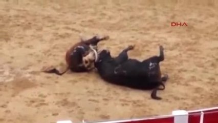 Yarımşar Tonluk Devler Kafa Kafaya Çarpıştıkları Anda Öldüler