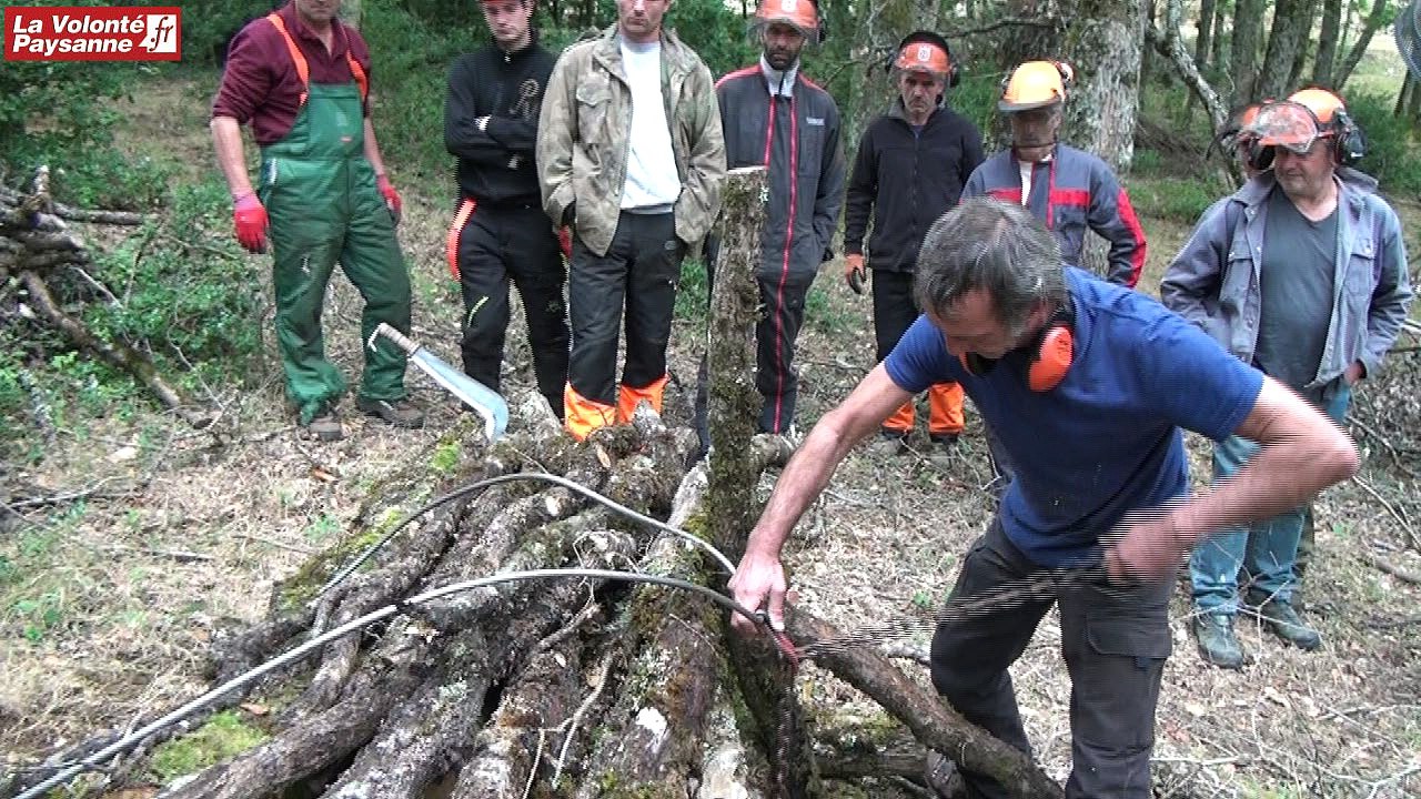 Débardage des bois Aveyron