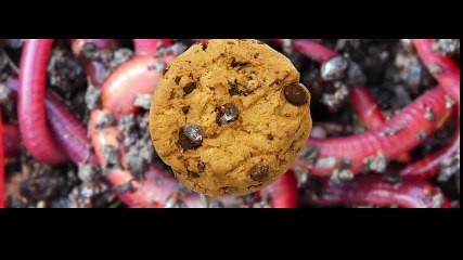 10 cái lạ kì về tình dục