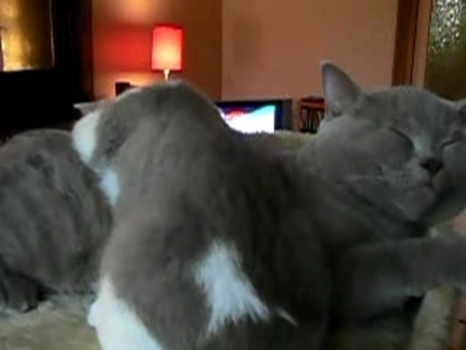 ils s'aiment