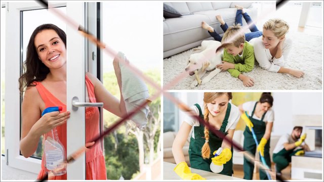 Clean as a Whistle - (347) 295-4782