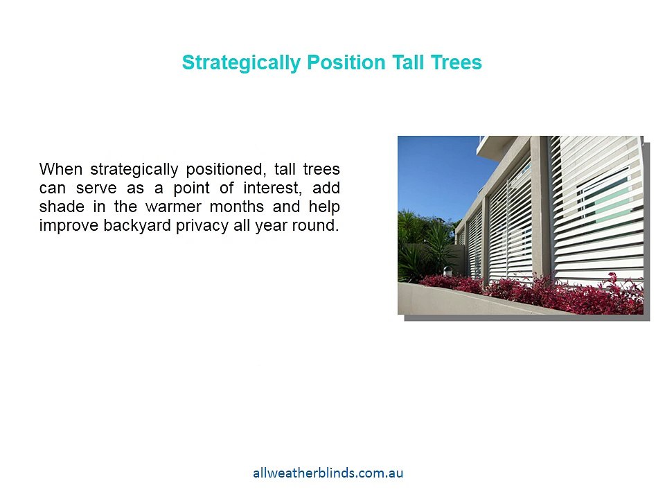 4 Simple Ways to Improve Backyard Privacy