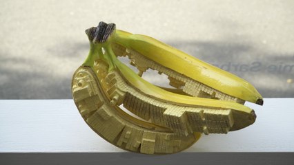 Flurina Badel & Jérémie Sarbach: De Novo. Exhibition at Galerie Idea Fixa, Basel