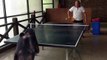 Ce chimpanzé pourrait bien vous battre au ping-pong
