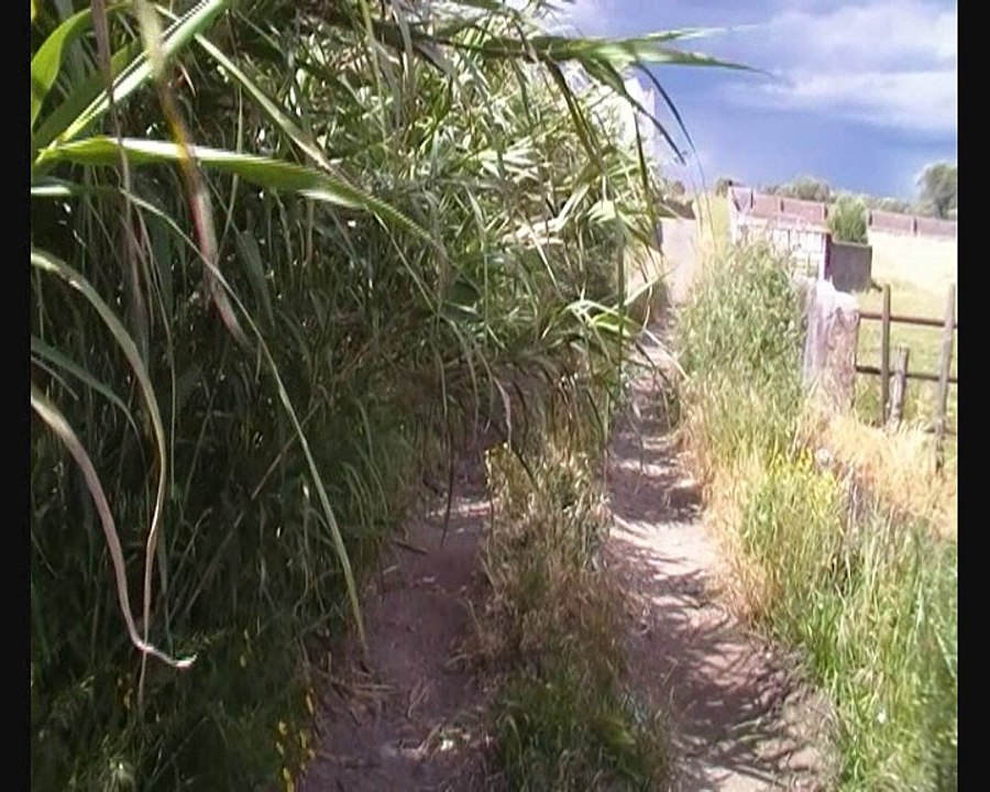 Estado de Caminho Agrícola em Cuba