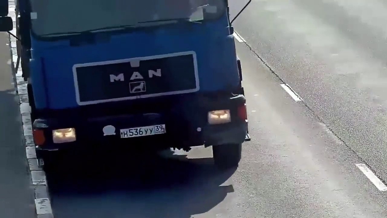 Attimi di Estrema Paura per un Gattino Lanciato da una Macchina in Corsa