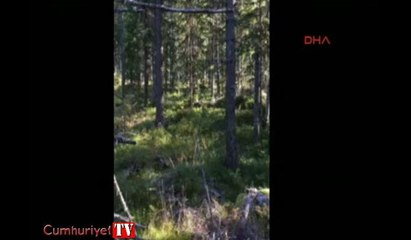 Ayı saldırısından ıslık çalarak kurtuldu