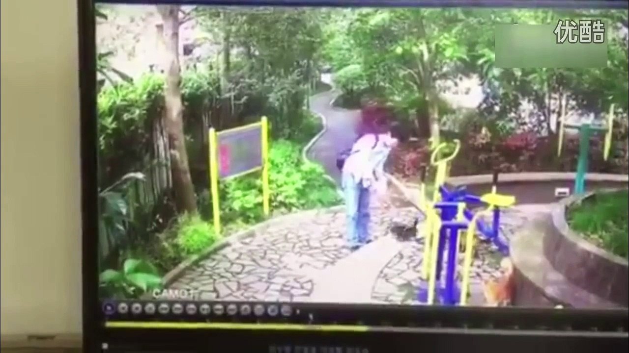 Phẫn nộ trước cảnh người đàn ông đánh đập hai chú mèo con đến chết