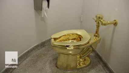 You don't have to be flush with cash to use this fully functioning solid-gold toilet