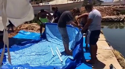 Chú rùa bị lôi lên chụp "tự sướng" đang phục hồi rất tốt tại trung tâm cứu trợ