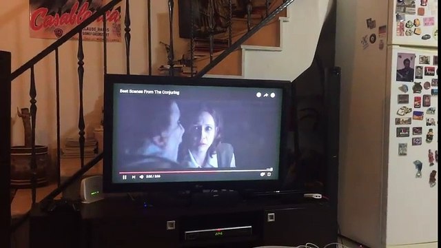 Đoạn phim chú chó Maylo xem cảnh kinh dị trong The Conjuring.