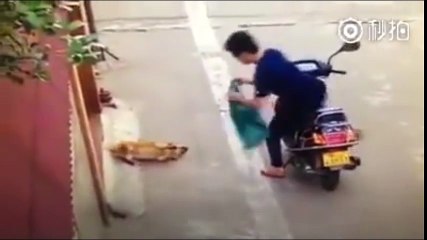 Cảnh trộm chó camera ghi lại được