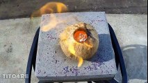 Đổ đồng nóng chảy vào quả dừa
