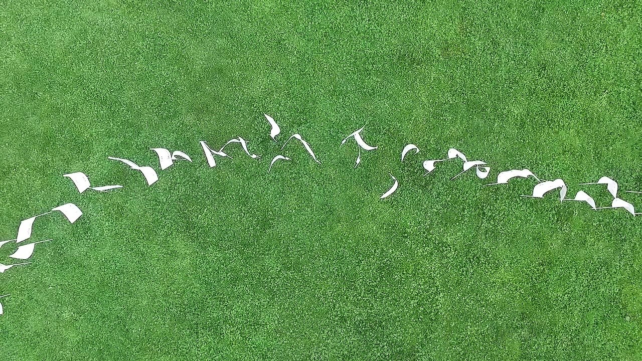 Projekt Fahnenmeer Flüchtlingstote 2