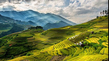 Tìm thấy thi thể du khách Anh trên Fansipan