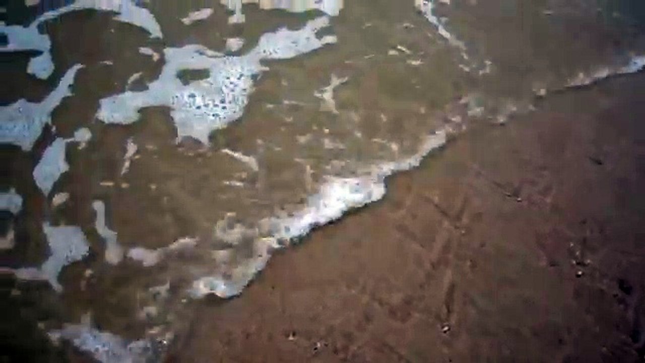 Nổi da gà trước cảnh tượng "kinh khủng" trên bãi biển