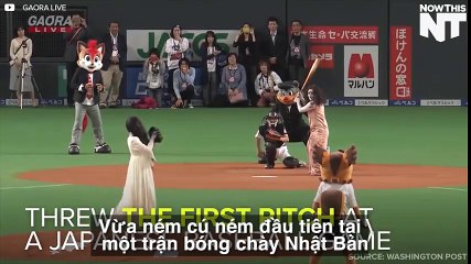 Nhật Bản tổ chức trận đấu bóng theo phong cách phim kinh dị kì lạ chưa từng có