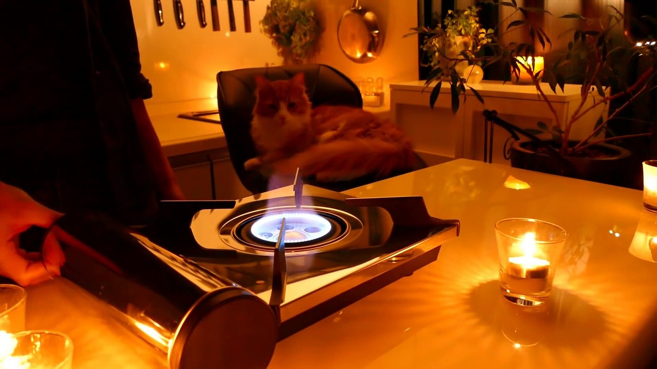 Ce qu'un chat préfère entre de la bouffe maison et toute faite