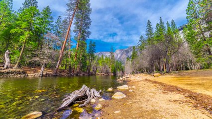 Descargar video: Timelapse en 4K de paysages extraordinaires : forêts, deserts, étoiles... Running the Seasons