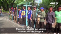 Bangkok ne veut plus voir des varans lézarder sur ses pelouses