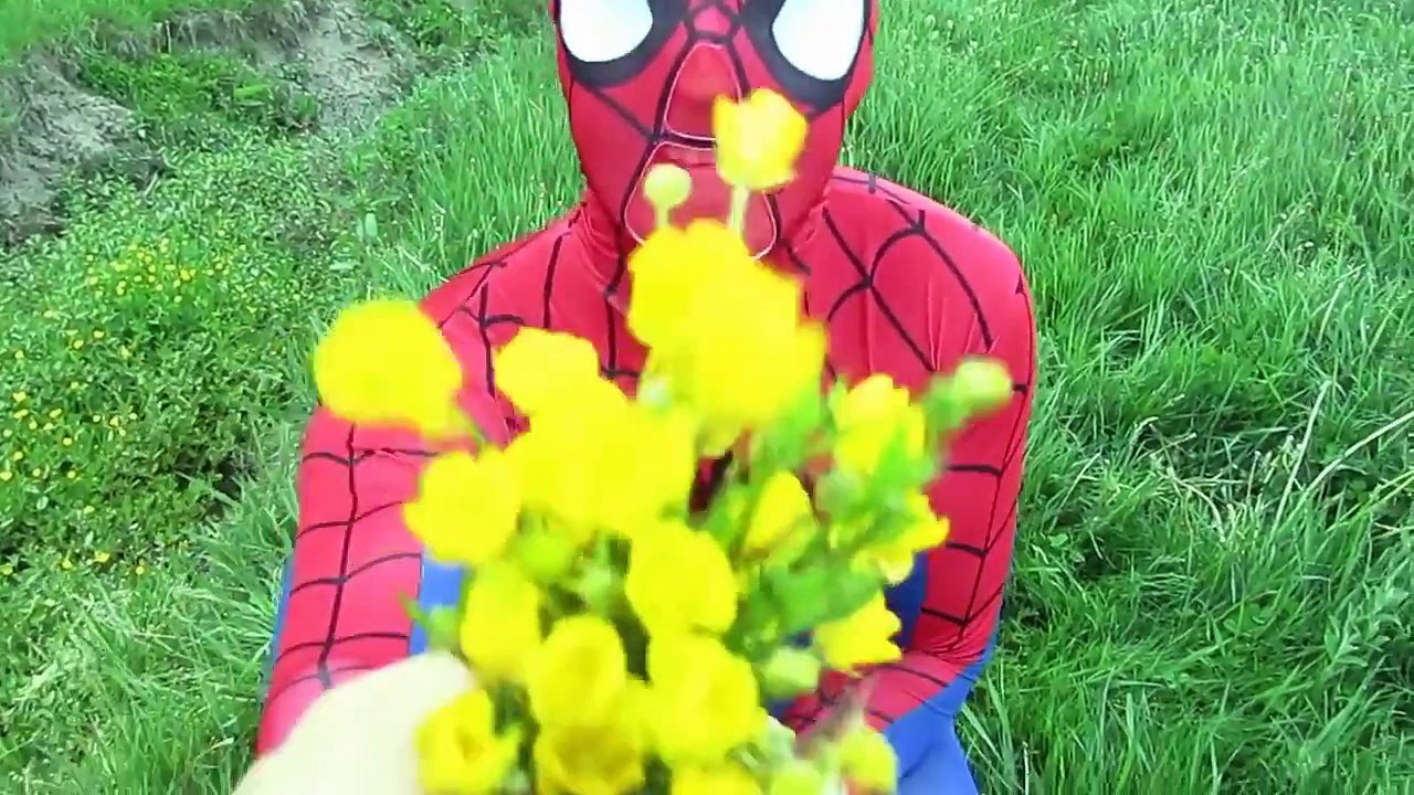 #Superheroes #Funny #Videos #2016 T rex deadly attack on Spiderman Frozen Elsa!!