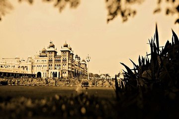 찜알바 ↔ 당일알바 여자알바생 알바카페 정보