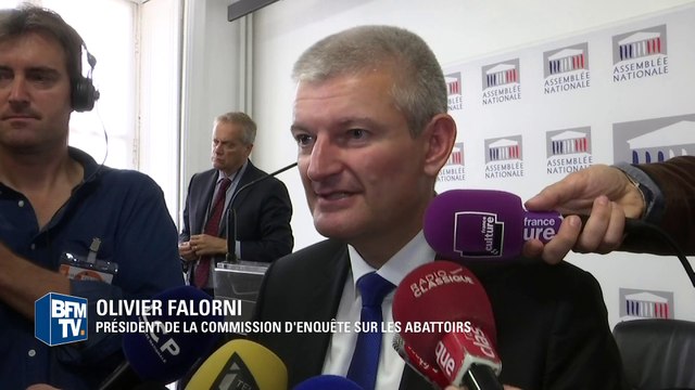 Maltraitance animale : les députés veulent des caméras dans les abattoirs