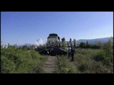 Ora News – Treni i udhëtarëve përplas një makinë, plagoset rendë shoferi