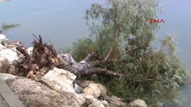 Isparta'da Şiddetli Rüzgar Ağaçları Devirdi