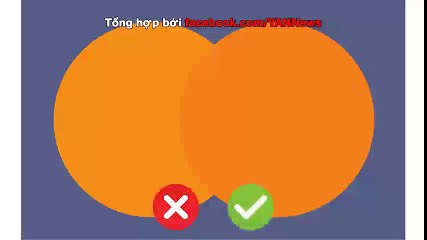 Đây là bài trắc nghiệm thị giác chỉ 10% dân số thế giới đoán đúng?